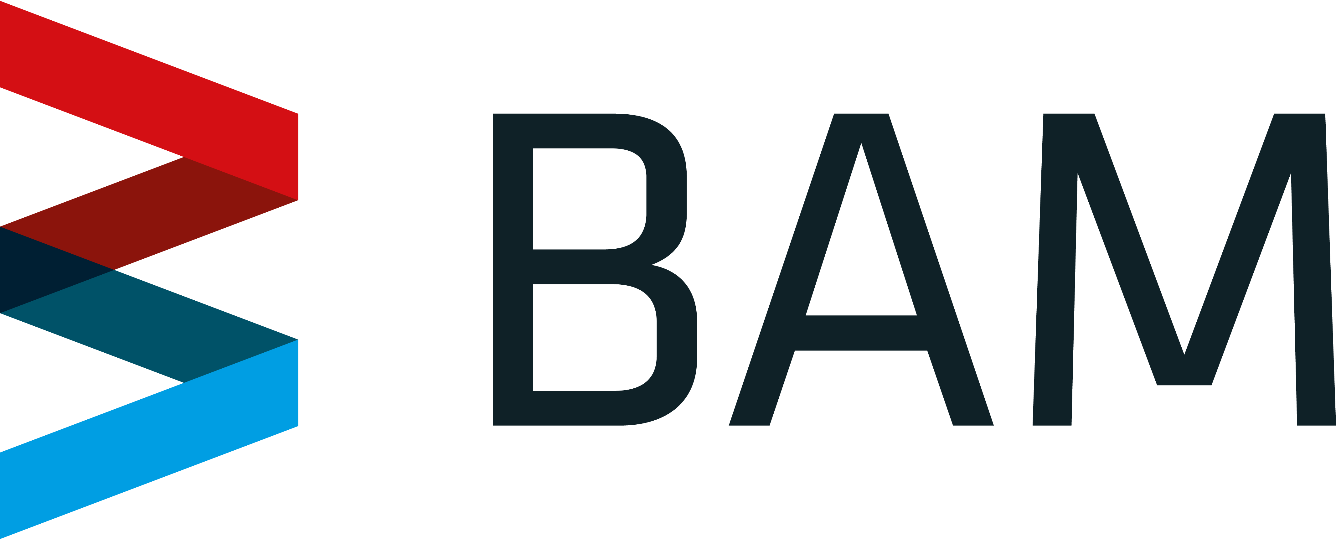 BAM-Logo-2015